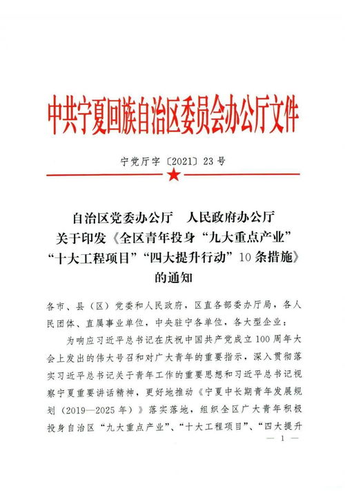 放飞青春夢想，助力地区腾飞——「矢力融创」青年行动图解剧本活动方案